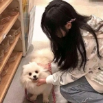 热血街篮九游版下载